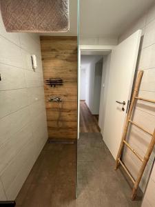 een kleine kamer met een douche en een ladder bij Azimut Hiša in Tolmin