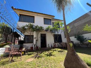 a house with a palm tree in front of it at Casa Estrella Oaxaca in Oaxaca City