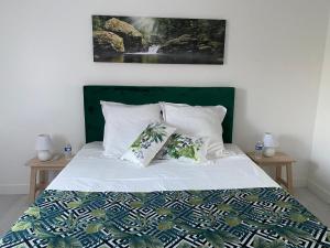 Saint-Louis-de-Montferrand的住宿－DOMAINE DE GUILLEMIN，一张带绿色床头板的床和两个枕头