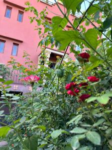 a bush of red roses in front of a pink building at Ourika lodge the healing place in Tafza