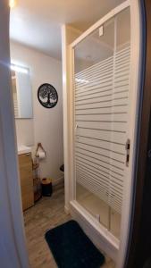 Ванная комната в Le Joli’Mans, appartement refait à neuf, entièrement équipé, pour 2 personnes, proche quartier historique et centre