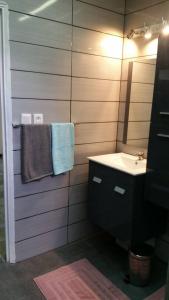 ein Bad mit einem Waschbecken, einem Spiegel und einem Handtuch in der Unterkunft Le Papyrus in Cilaos