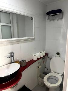 y baño con aseo, lavabo y espejo. en Cozy Studio Apartment in Haifa, en Haifa