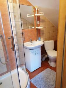 een badkamer met een wastafel, een toilet en een douche bij DOM KĄCIK in Kąty Rybackie
