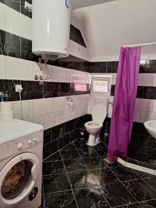 a bathroom with a washing machine and a sink at Apartman Ognjenović in Pluzine