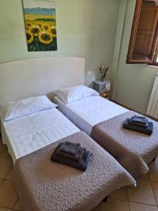 Dos camas en una habitación de hotel con toallas. en Terrazza Cassiopea, en Capradosso
