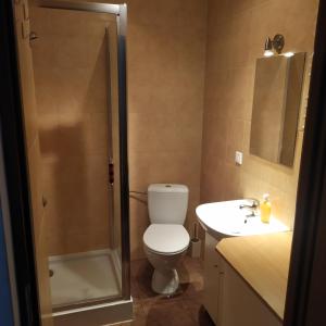 a bathroom with a toilet and a shower and a sink at Nad Dunajcem in Sromowce Niżne