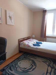 sypialnia z łóżkiem, oknem i dywanem w obiekcie Apartament w Sercu Starego Miasta w Olsztynie