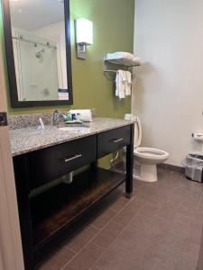 een badkamer met een wastafel, een toilet en een spiegel bij Sleep Inn & Suites Gulfport in Gulfport