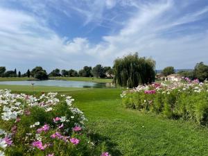 ein Blumenfeld mit einem See im Hintergrund in der Unterkunft LES CISTES in Mallemort