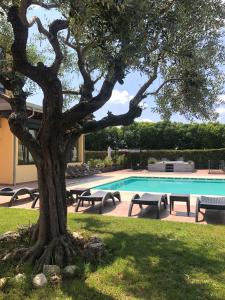 a tree and picnic tables next to a swimming pool at Hotel La Rocca in Nogarole Rocca