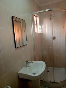 een badkamer met een wastafel en een douche met een spiegel bij Beautiful Gate Guesthouse in Palatswe