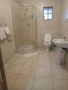 a bathroom with a shower and a toilet and a sink at Beautiful Gate Guesthouse in Palatswe