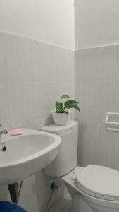 a white bathroom with a toilet and a plant on top of it at Affordable staycation @Mesaverte Residences cdo in Cagayan de Oro