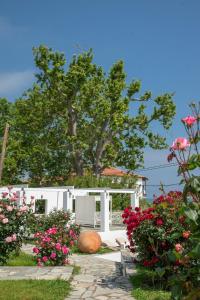 Zahrada ubytování Aeolos Hotel & Villas - Pelion