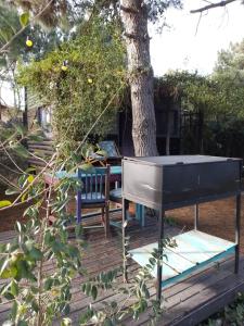 - une table de ping-pong sur une terrasse à côté d'un arbre dans l'établissement la cabanita pinamar, à Pinamar