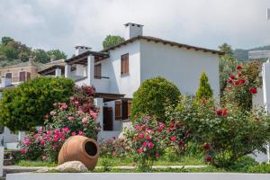 Zahrada ubytování Aeolos Hotel & Villas - Pelion