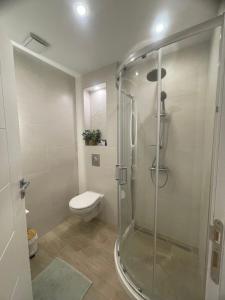 a bathroom with a glass shower with a toilet at Sea Esta Apartment in Nea Peramos