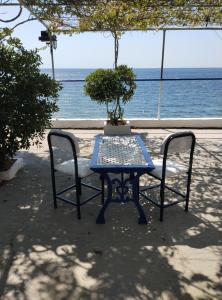 a table and two chairs with a table and a plant at Villa Απέραντο Γαλάζιο in Samothraki