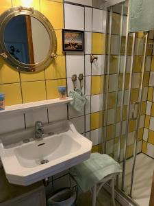 a bathroom with a sink and a mirror at Le Petit Manoir in Isigny-le-Buat