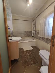 a bathroom with a tub and a sink and a toilet at Encosta do Pinhão in Casal de Loivos