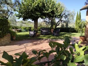 un jardín con dos sillas bajo un árbol en Affittacamere Acquaria-Vinci, en Vinci