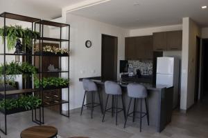 uma cozinha com um bar com bancos e um balcão com plantas em Residencias La Estación San Miguel de Allende em San Miguel de Allende