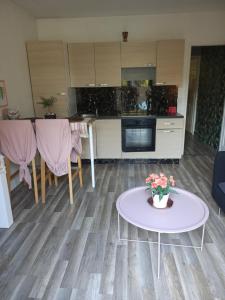 Il comprend un salon avec une table et une cuisine. dans l'établissement La rose des sable, à Garges-lès-Gonesse