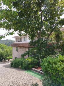 Quinta da Telheira في فيلا ريال: منزل أمامه شجرة