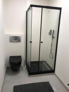 y baño con ducha de cristal y aseo. en Schöne moderne Eigentumswohnung in Bochum-City, en Bochum