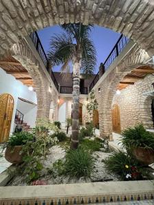une maison avec un palmier dans une cour dans l'établissement Villa Essaouira, à Essaouira