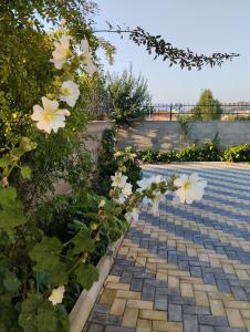 um jardim com flores brancas num caminho de tijolos em Romantic room em Korçë
