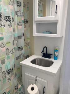 baño con lavabo y cortina de ducha en Comfy stay in private 2beds, 1bath kitchen RV, en Escondido