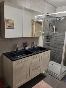 een badkamer met een wastafel en een douche bij 2pas2meuse in Waulsort