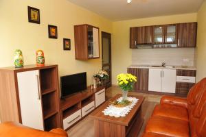 a living room with a couch and a television at Vila Václav in Podhájska