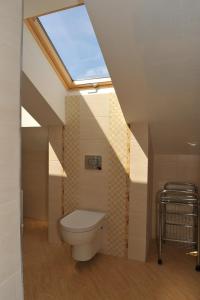 a bathroom with a toilet with a skylight at Vila Václav in Podhájska +24 photos