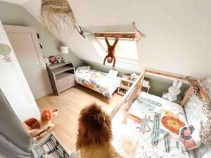 einem Hund in einem Zimmer mit einem Schlafzimmer in der Unterkunft Gîte Family pour les petits et pour les grands in Paimpol