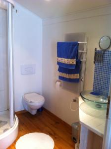 y baño con aseo y toallas azules. en La Petite Maison, en Crézières