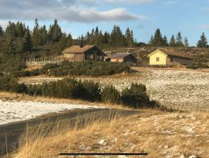 a group of houses in a field with trees at Hytte på idyllisk seter in Fosset