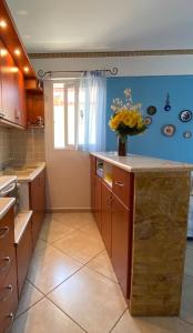 a kitchen with a counter with a vase of flowers on it at Roula apartment in Nei Poroi