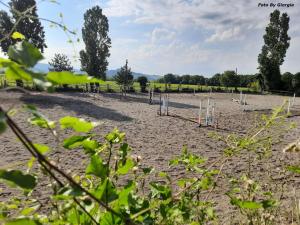 a dirt field with a bunch of soccer goals at Agriturismo Andreis Alloggi in Illasi