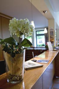 Fotografie z fotogalerie ubytování Hotel Moritz an der Elbe v destinaci Zeithain