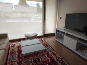Bienvenido a Valdivia II في فالديفيا: غرفة معيشة مع تلفزيون بشاشة مسطحة وأريكة