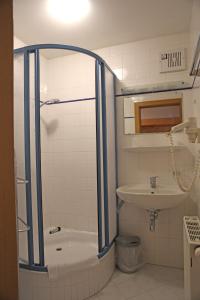 ein Bad mit einer Dusche und einem Waschbecken in der Unterkunft Appartementhaus Wehrenfennig in Gosau