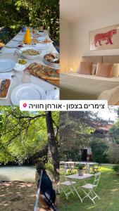 une table avec des assiettes de nourriture et un chien y assis dans l'établissement Orhan Havaya, à Sheʼar Yashuv