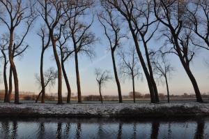 a row of trees next to a body of water at Vakantiehuis 't Verloren Schaap Damme in Damme