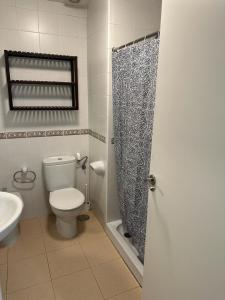 La salle de bains est pourvue de toilettes et d'un rideau de douche. dans l'établissement Ameyal Madre Rafols, à Séville