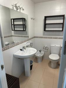 uma casa de banho com um lavatório, um WC e um espelho. em Ameyal Madre Rafols em Sevilha