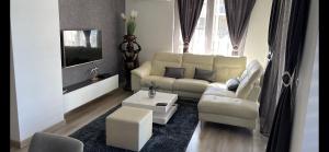 布達佩斯的住宿－N.Cristian Apartment，带沙发和电视的客厅