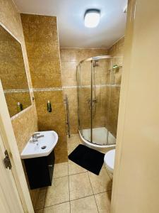 a bathroom with a shower and a sink and a toilet at Premium Studio Flat 02 Near Tower Bridge in London